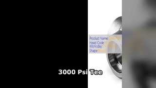 3000 رطل لكل بوصة مربعة لتقليل الضغط العالي الصناعي