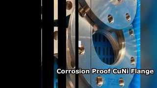 CuNi 70/30 الاستخدام الكيميائي للشفة