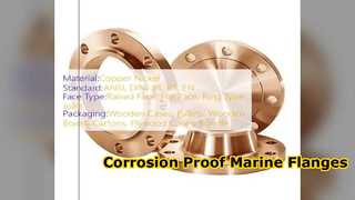 ASME B16.5 النحاس والنيكل الانزلاق على الأنابيب البحرية شفة