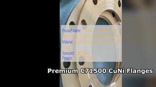 C71500 CuNi 70 30 شفة عنق ملحومة ذات جودة عالية مزورة